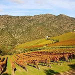 Douro Yacht Charter &