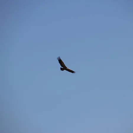 Douro Yacht Charter & 3* São João da Pesqueira