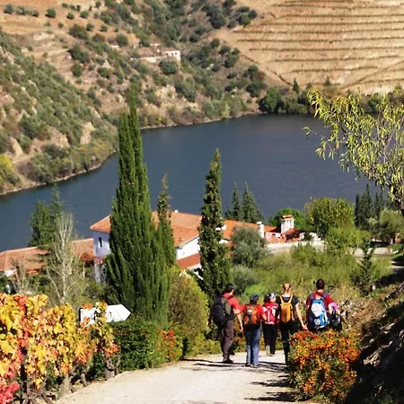 船上ホテル Douro Yacht Charter &