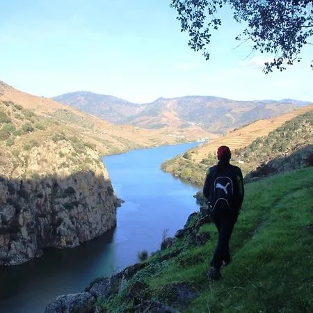 Douro Yacht Charter & Сан-Жуан-да-Пешкейра
