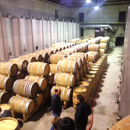 보트호텔 Douro Yacht Charter & São João da Pesqueira