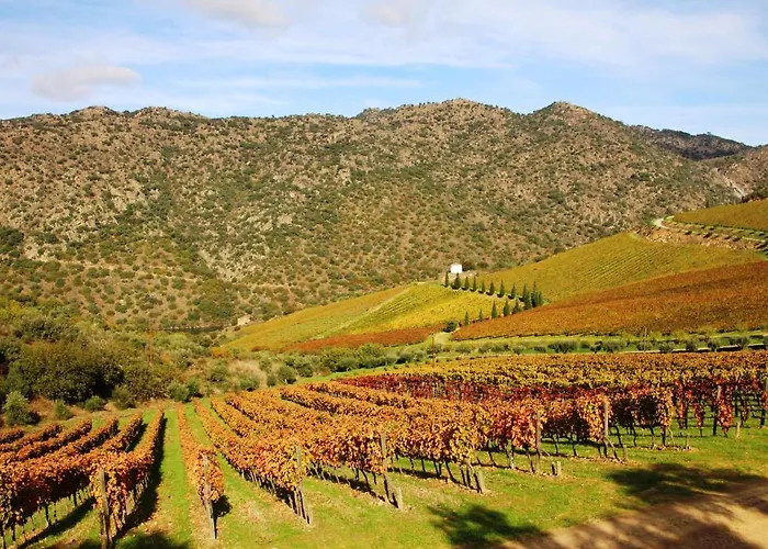 Douro Yacht Charter &