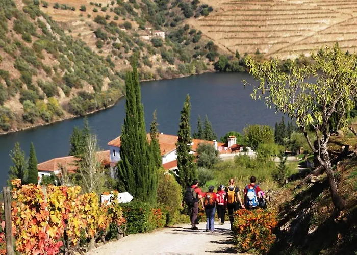 Bådhotel Douro Yacht Charter &